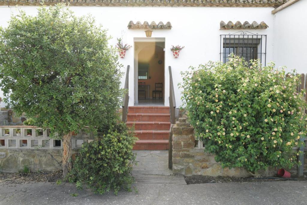 Appartement Casa Juncal à Tarifa Extérieur photo